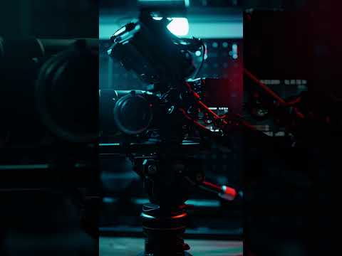 Meow #videography #cinemacamera