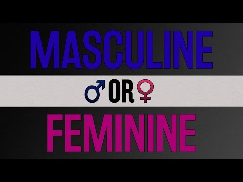 Are You Masculine or Feminine?