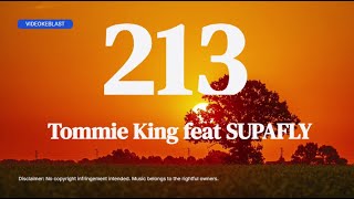 213 - Tommie King feat. SUPAFLY (Karaoke HD with backing vocals)