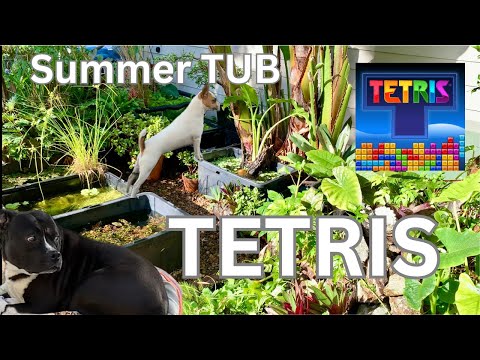 Summer TUB TETRIS time