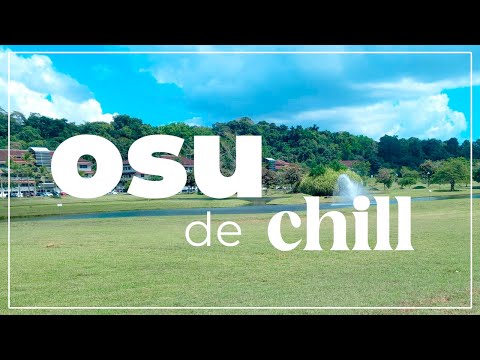 Ratito chill de osu! mania (internet issues)