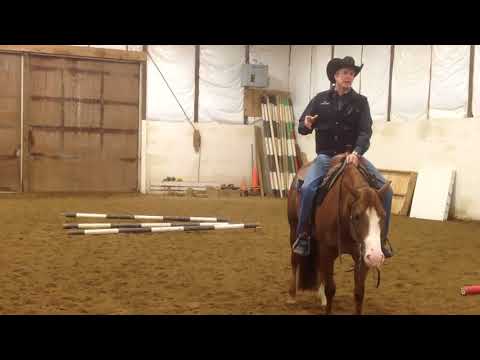 Team LIFELINE Training Tip   Transitions