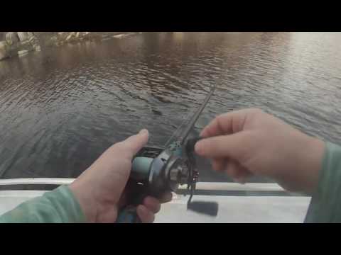 Copeton Dam Cod On The Ando Lures Codemned