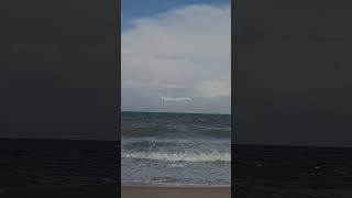 Poove sempoove song 💞Tamil love whatsapp status 💞 #lovewhatsappstatus #lyrics #80s #love #tamilsong
