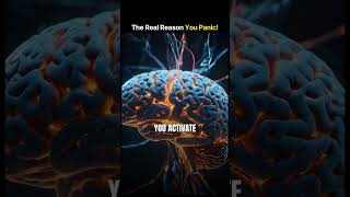 Breathe slow to escape the reptile brain & activate calm 🧠 #NeuroscienceTips