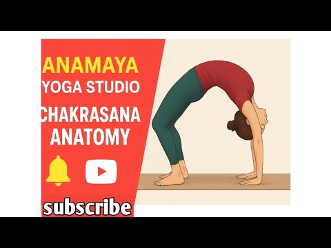 "How to Do Chakrasana | Beginner-Friendly Wheel Pose"