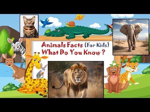 Fun Facts About Animals For Kids | Animals Facts | What Do You Know | Kidz Korner Creative Learning