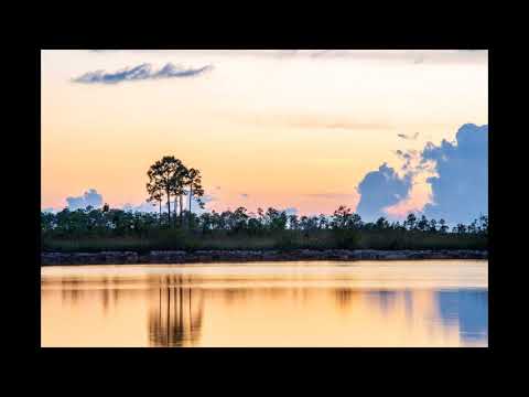 PGL TL Sunset 1080p
