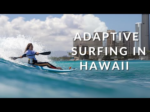The airline lost my surfboard | VANLIFE |