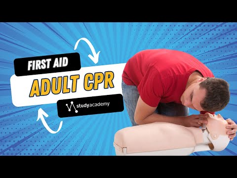 How to do CPR on an Adult - Study Academy