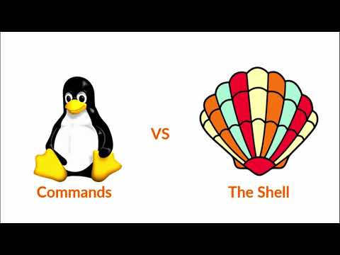 Difference between Terminal,Command and Shell for Beginners