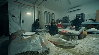 Harmann - IMPORT EXPORT [Official Video]