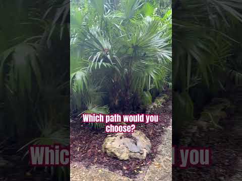 Key west at its finest! #keywest #nature #floridaliving #floridarealestate #travel #rrh