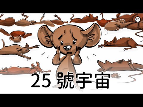 25 號宇宙老鼠實驗