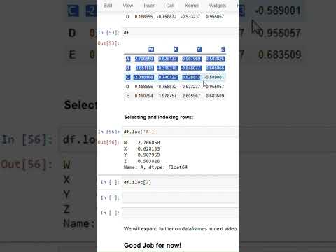 Row Indexing in Python DataFrame Explained | Part 1 | Jan 2025