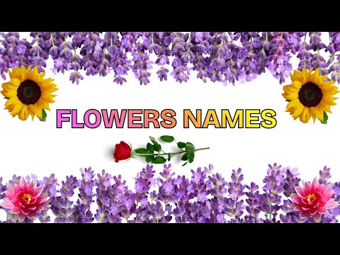 Flowers names for kids in English | Flowers name | kids learning world
