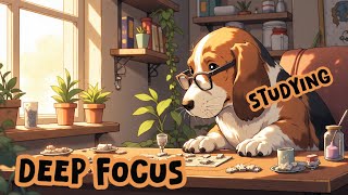 🎓 Study & Work Without Distractions | Deep Focus Music Playlist