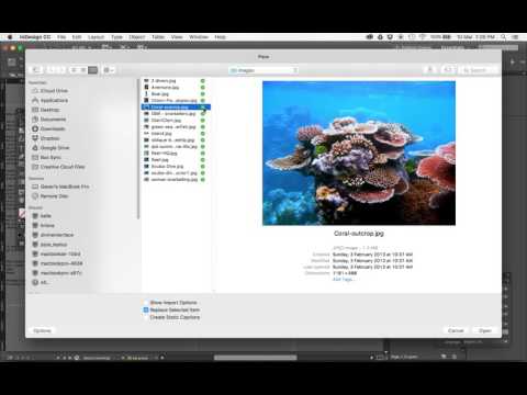 Intro to DL dive brochure