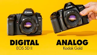 Eos 5D mkII vs Kodak Gold: digital vs analog again