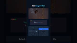 Image Filters using CSS ✨