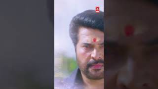 Telugu Mass Scenes Shorts #ytshorts #telugu #movieclip #telugumoviescene