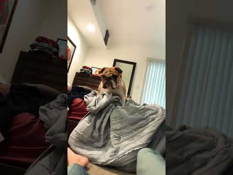 She attacked me