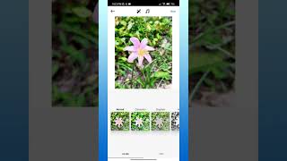 How to Post on Instagram