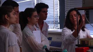 STEM (Science, Technology, Engineering and Mathematics)