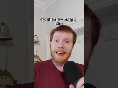 AI is a burger made of puppies