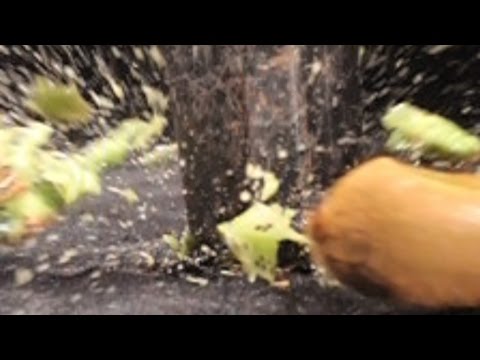 Holdningskampanje3