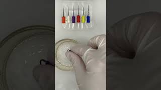 Root Canal Treatment Endo Rotary Files Endodontic Dental Niti Files