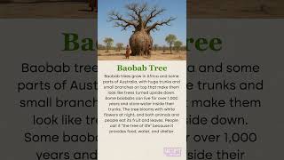 Baobab tree 🌴  #facts #shorts #readingeanglish  #englishlearning#baobabtree#english #funfacts