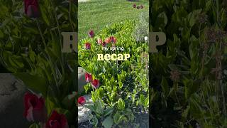 spring recap vlog!! 🌷🌼 #vlog #springdiaries #dayinmylife #weekinmylife #springactivities