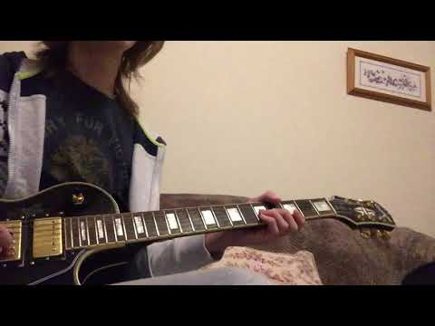 You got that right - Lynyrd Skynyrd. (Guitar solo cover)