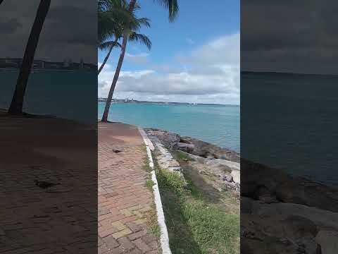 praia de ponta verde @tiktok