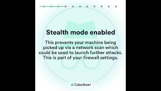 CyberSmart Active Protect: Security Checks Explained