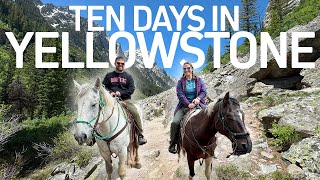 Yellowstone and Grand Teton in 10 Days (Best Hikes, Epic Views, and Biggest Mistakes)