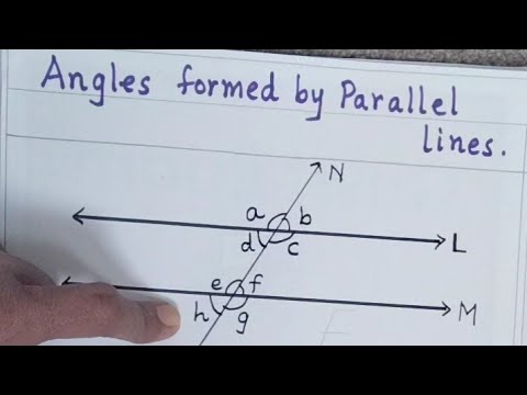 Angles formed by parallel lines.