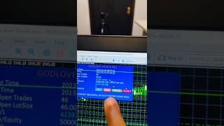 Patrex Pro Best Forex Robot at work 🤖 #forextrading #patrexpro