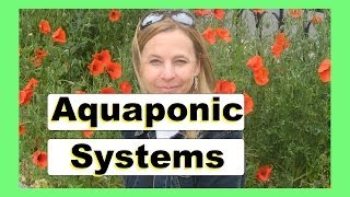 Aquaponic BioFilter 2 - Homemade BioFilter For Aquaponic Systems