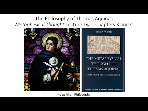 The Metaphysical Thought of Thomas Aquinas Lecture 2 Participation in Being