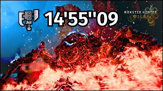 【MHWilds TU4】零式オメガ・プラネテス検証戦 スラッシュアックス ソロ（サポハンなし）14'55''09【モンハン/スラアク/オメガ/TA】