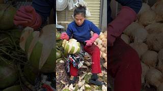Hardworking Woman Selling Fresh Coconut Water - Fruit Cutting Skills