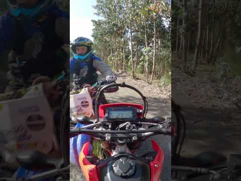 HEAD ON CRASH  #hondacrf300 #crash