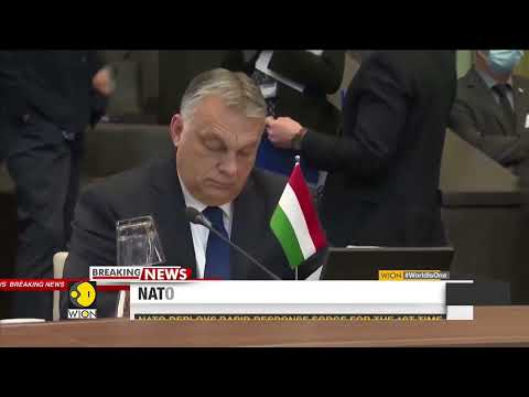 RussiaUkraine Conflict France warns world on war as NATO deploys rapid response force  WI
