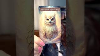 Your Monday Card Pull for 12/29/25