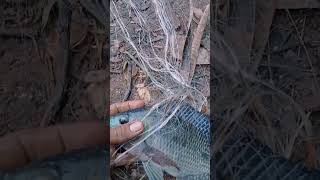 4 inch fishing net..//hordeng fishing net #fishing