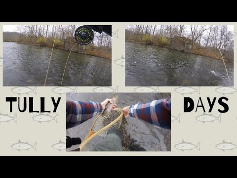 CLOUDY TULLY DAYS