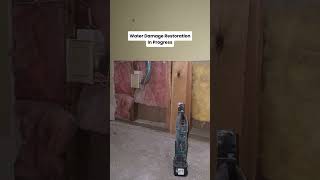Restoring a Water-Damaged Home | Project in Progress 🏠
