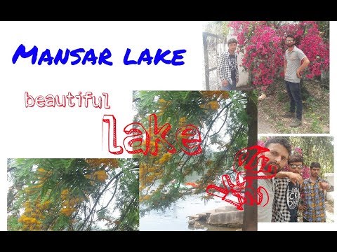 Beautiful mansar lake| jammu mansar mansar| vlog